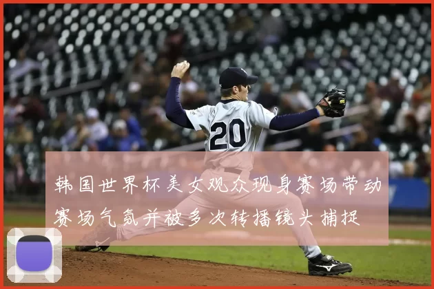 韩国世界杯美女观众现身赛场带动赛场气氛并被多次转播镜头捕捉