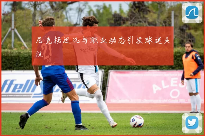 尼克杨近况与职业动态引发球迷关注