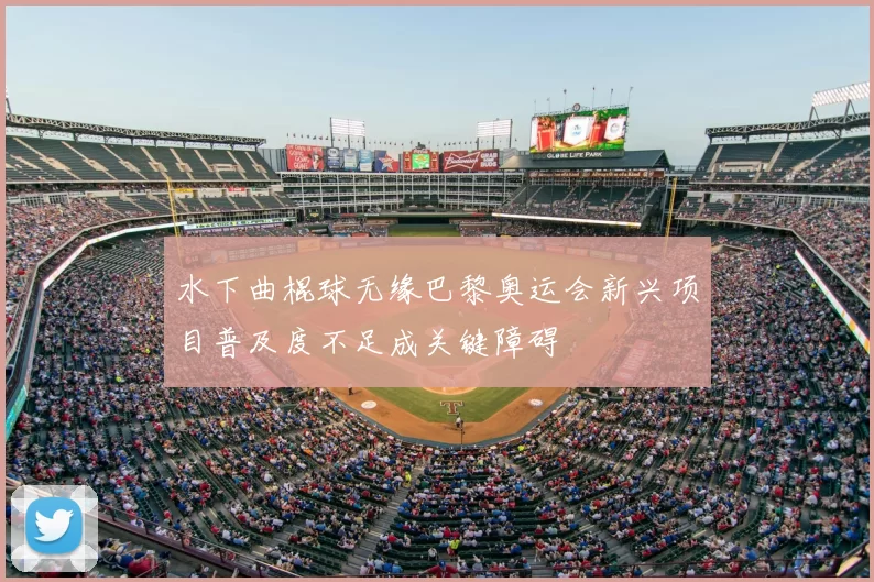 水下曲棍球无缘巴黎奥运会新兴项目普及度不足成关键障碍