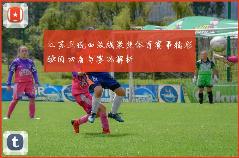 江苏卫视回放线聚焦体育赛事精彩瞬间回看与赛况解析