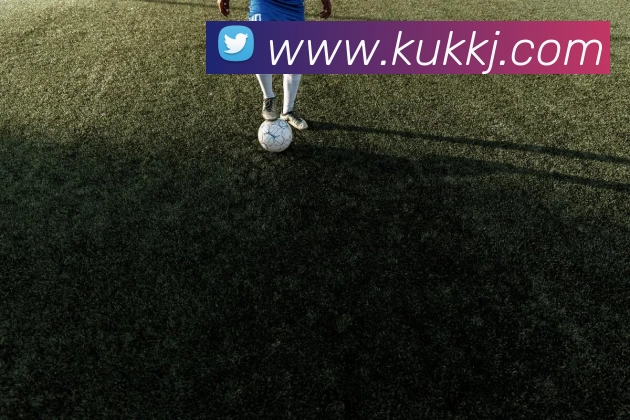 博亚app官网登录入口 - 博亚(中国)发展历程